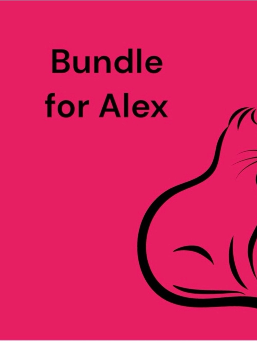 Bundle for Alex Pink Graphic Listing